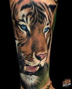 tattoo_brazo_tigre_bruno_don_lopes_logia_barcelona 